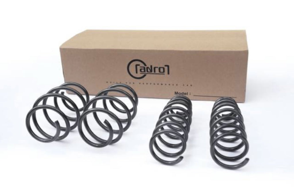 ADRO Lowering Springs - Concept 3 - Revolutionizing the Way You Drive 
