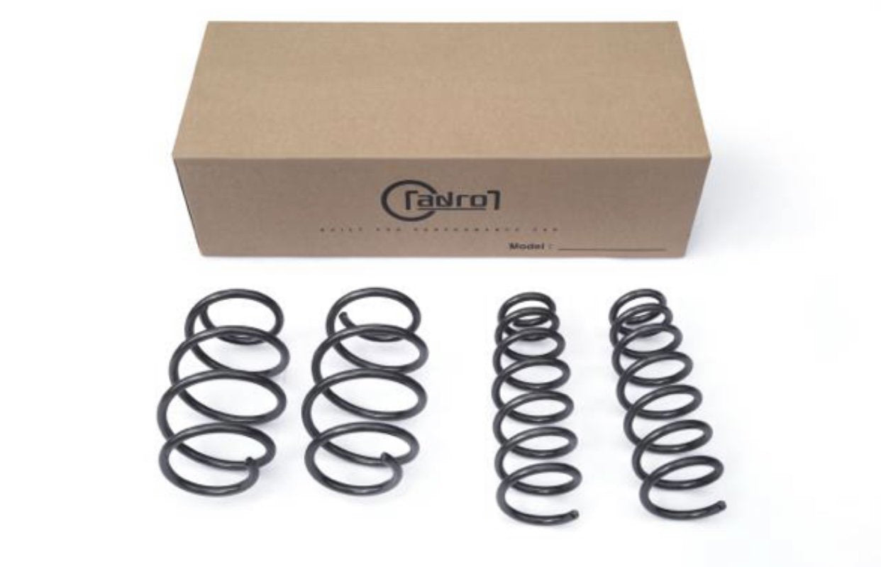 ADRO Lowering Springs - Concept 3 - Revolutionizing the Way You Drive 