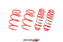 Load image into Gallery viewer, Tanabe NF210 Lowering Springs - Concept 3 - Revolutionizing the Way You Drive 